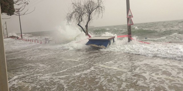 Bursa sahili bu hale geldi