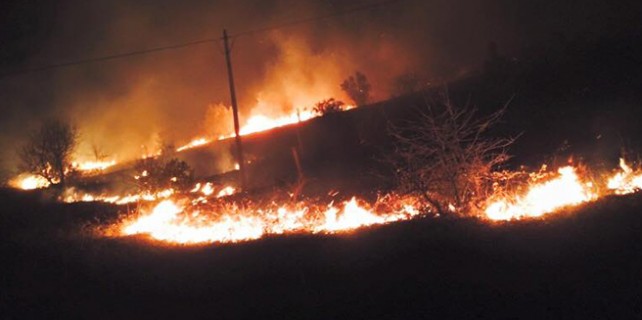 Mudanya alevler içinde kaldı