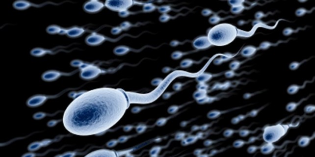 Erkeklerin sperm kalitesi gün geçtikçe düşüyor!