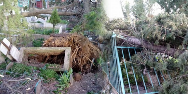 Fırtına mezarları da vurdu