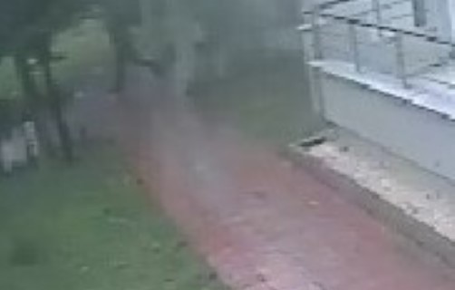 Gazeteciyi copla döven saldırganlar kamerada