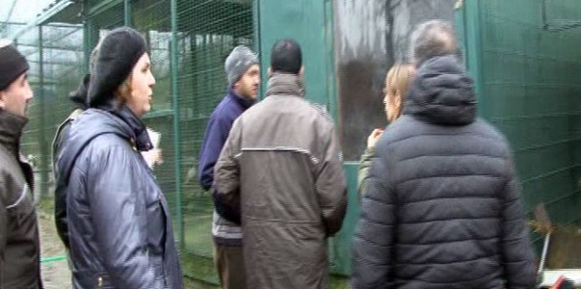 İşadamının çiftliğine şok baskın!