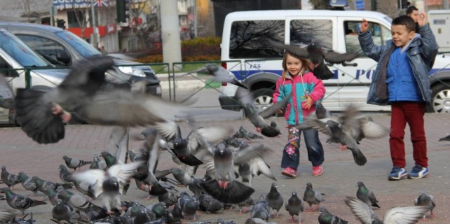 Güvercinler çocukların neşe kaynağı