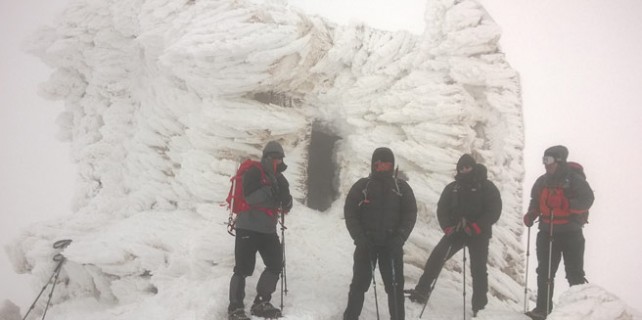 Uludağ'da bakın nasıl hayatta kaldılar