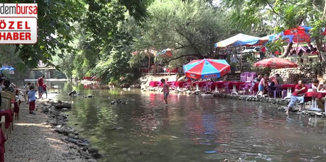 Bursa'nın gizli cenneti Misi Köyü büyülüyor (ÖZEL)