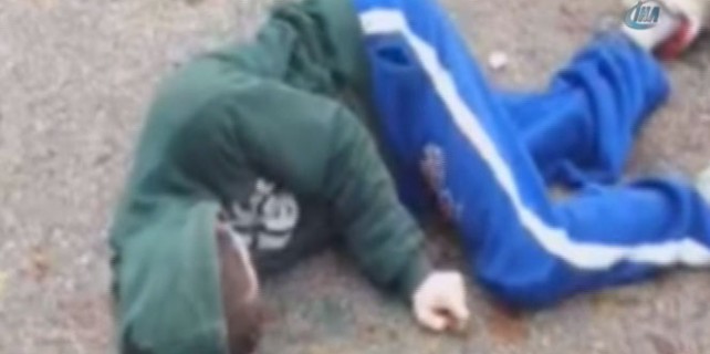 İşte bonzainin ölümcül gerçeği!