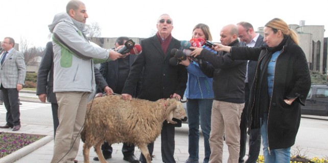 Meclis böylesini ilk kez gördü