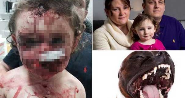 18 aylık bebeği bu hale getirdi