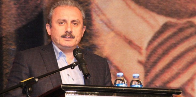 "Özgecan Aslan'ın katilleri idam edilmeli"