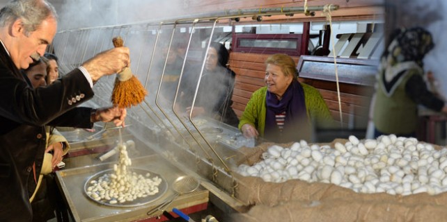 Bursa ipeği hayat buluyor...