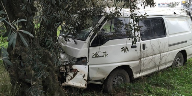 Yoldan çıktı, zeytinliğe uçtu