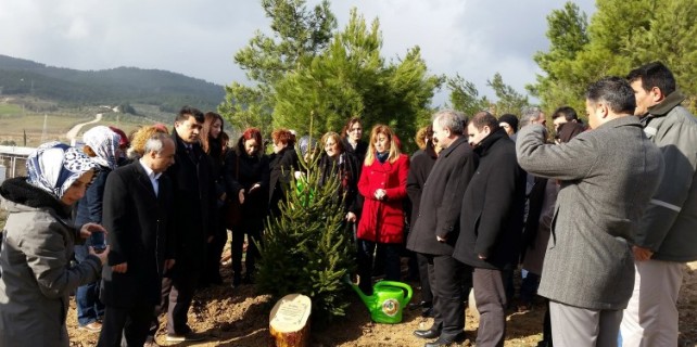 Özgecan Aslan Bursa’da fidanla yaşayacak