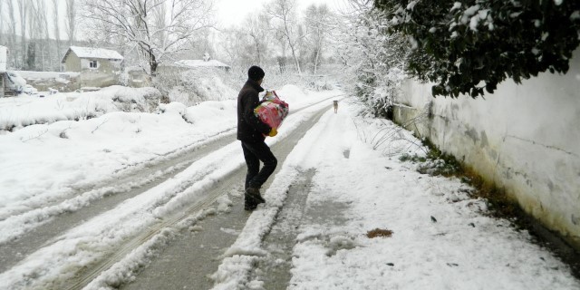 Sokak hayvanlarına dost eli
