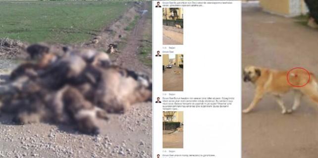 Bursa'da sosyal medya ayağa kalktı!