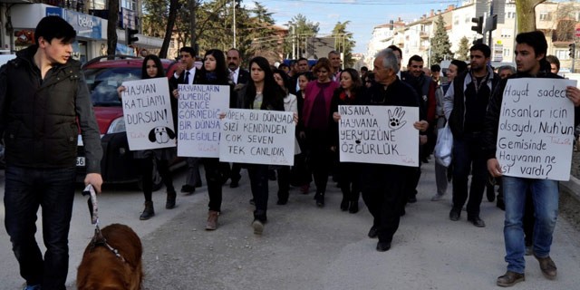 Hayvanseverlerden Bursa'daki köpek katliamına protesto