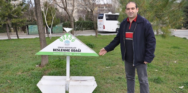 Hırsızlar bu kez köpek mamalarına gözünü dikti