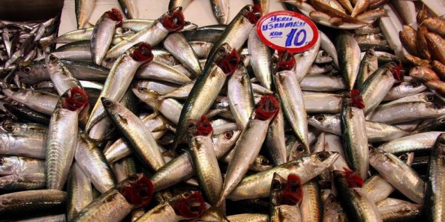 Balık fiyatları vatandaşın yüzünü güldürdü