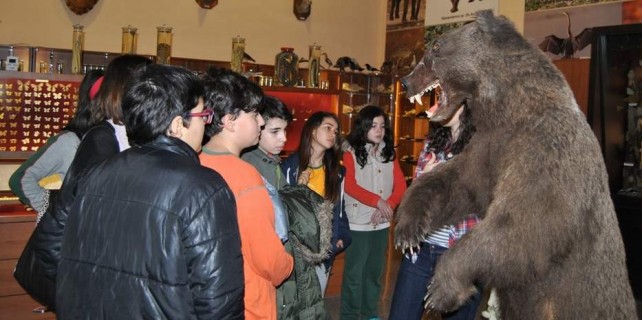 Öğrencilerin ayı merakı