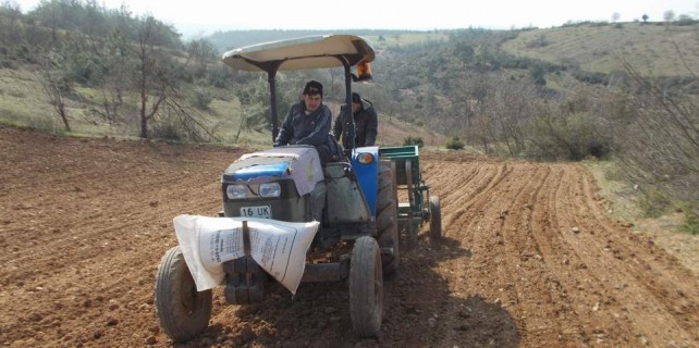 Bursalı üreticinin umudu soğanda