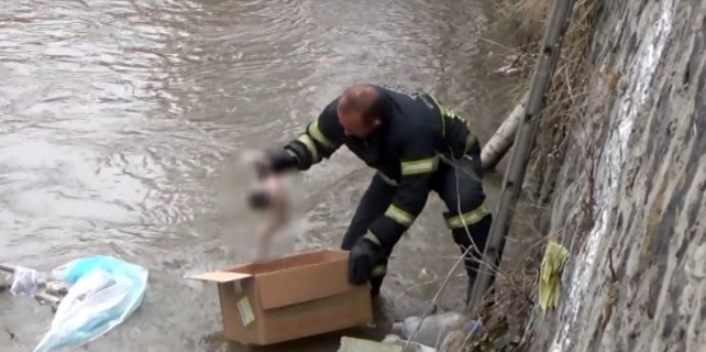 Böyle vicdansızlık görülmedi! (video)