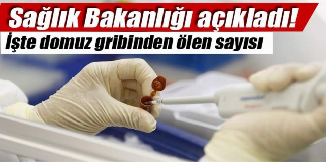 İşte domuz gribinden ölen sayısı