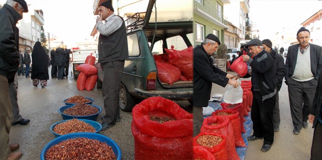 Kuru soğan ağlattı, arpacık soğanı güldürdü