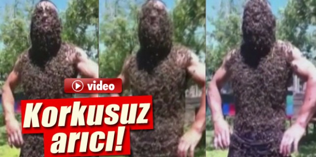 Korkusuz arıcı ölüme meydan okuyor