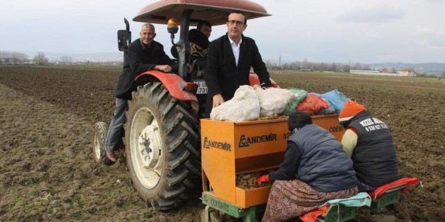 Bursalı çiftçi yeni uyandı...Patates 3 lira oldu ekim başladı
