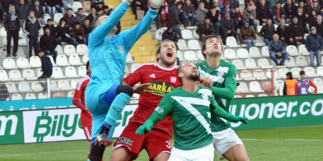 Timsah Sivas'ta dondu kaldı