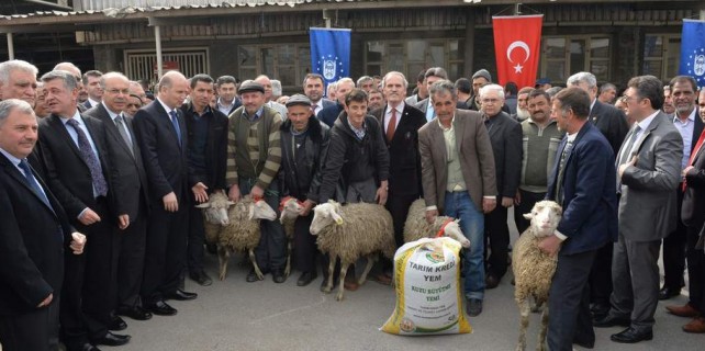 Bursa'da bedava koyun sevinci