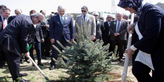 Bursa'da bereket ormanı kuruldu