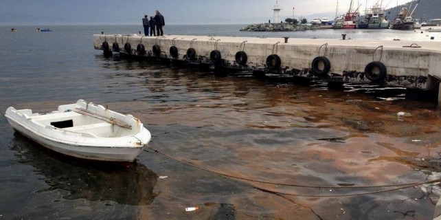 Narlı sahillerinde korkutan görüntü