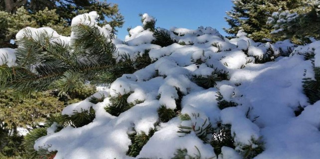 Bursa'ya bahar gelmiyor...Uludağ'a kar yağdı
