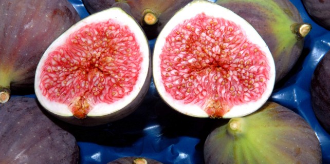 Siyah incir Bursa'ya 30 milyon dolar kazandırdı