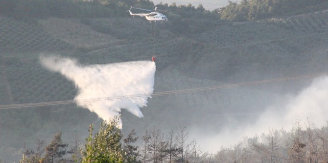 50 hektar kül oldu, yangın tamamen söndürüldü...