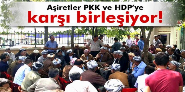Aşiretler PKK'ya karşı birleşti