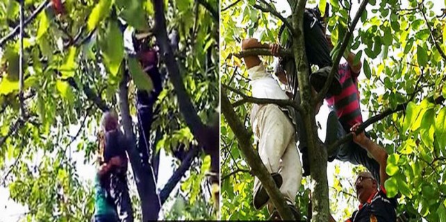 Bursa'da akıl almaz kurtarma