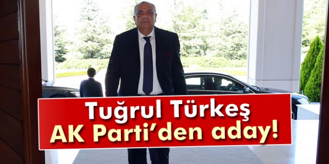 Tuğrul Türkeş Ak Parti'den aday
