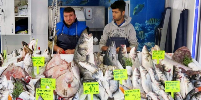 Marmara'da balık bereketi...