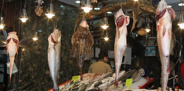 Bursa'da dev balıklar görenleri şaşırttı..