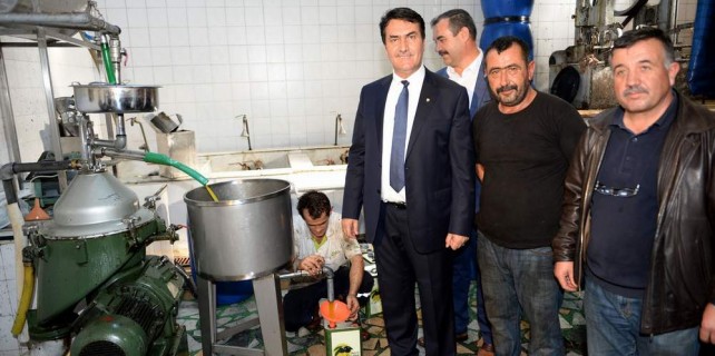 Osmangazi'den zeytin üreticisine destek