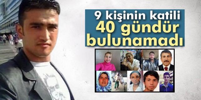 9 kişinin katili 40 gündür bulunamadı
