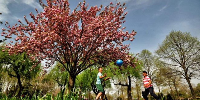 Bursalılara hafta sonu güzel haber