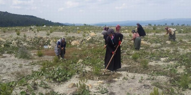 Bursa'da köylü kadınlara ek gelir kapısı