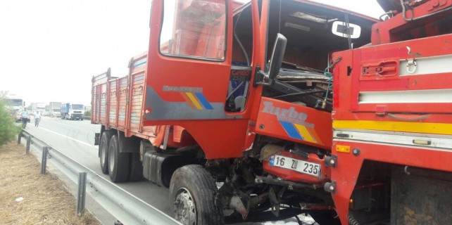 Bursa'da faciaya kılpayı