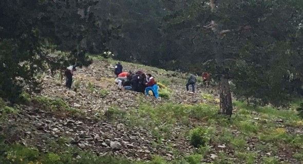 Giresun’da askeri helikopter düştü: 7 şehit, 8 yaralı