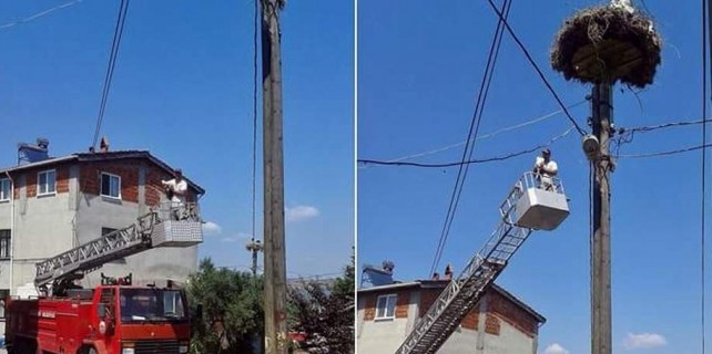 Yaralı leyleğin çifte sevinci