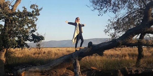 Ünlü sanatçı Bursa'da ağaca tırmandı