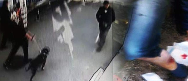 Bursa'da pitbull dehşeti...