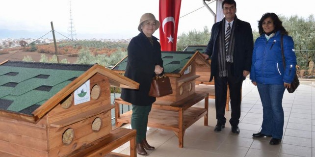 Osmangazi'de kedilere sıcak yuva